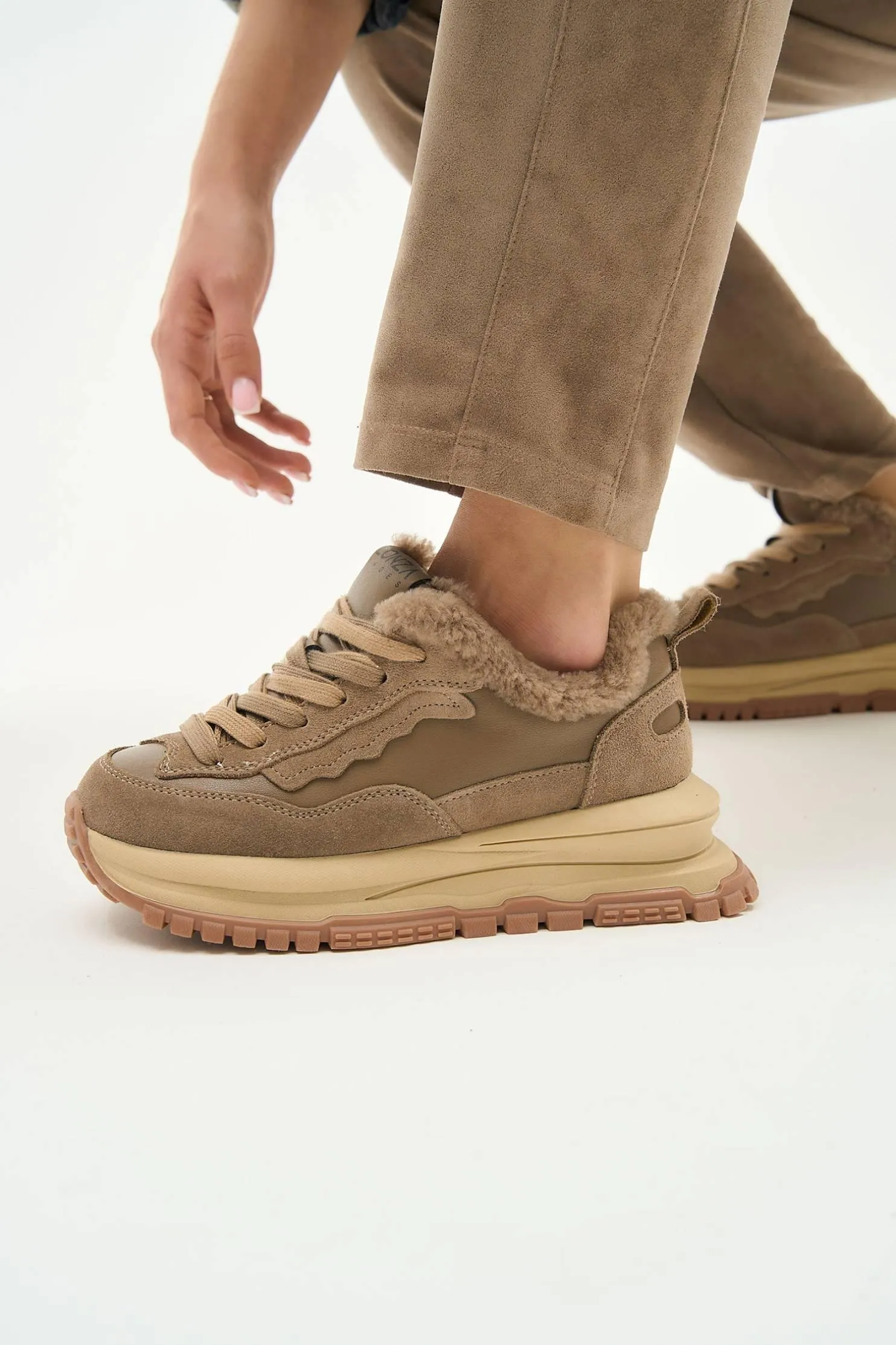 Dant Beige