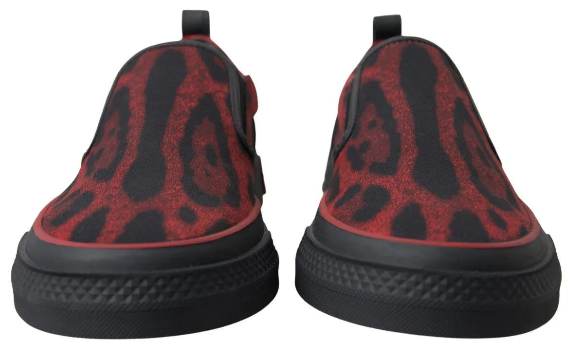 Dolce & Gabbana Red Black Leopard Loafers